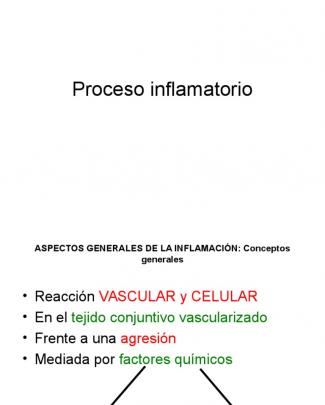 Proceso Inflamatorio Curso 2014